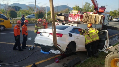 Cars rush to the street tree planting site...Three people are dead.