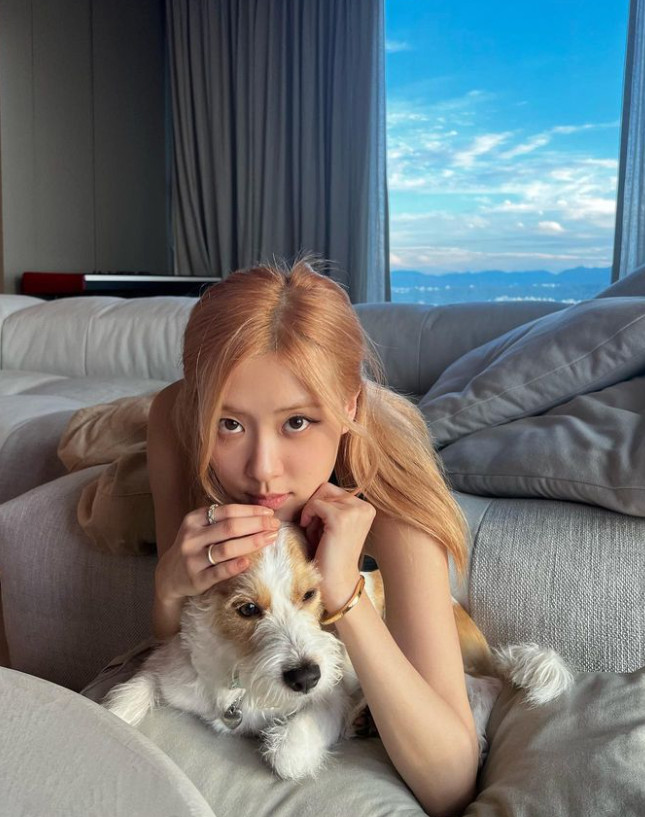 Rosé made a big hit with "Apartment"...10 billion apartments in real life.