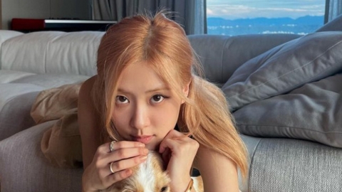 Rosé made a big hit with "Apartment"...10 billion apartments in real life.