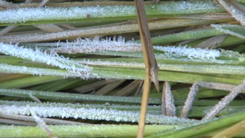 [날씨] \'입동 추위\' 온다…밤사이 10℃ 급락 \'체감 영하권\'