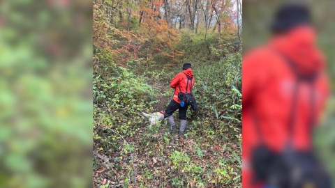 Those in their 80s who checked out the beehive...Found dead three days after disappearance