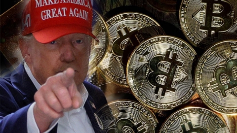 Bitcoin-hating Trump...Is the soaring price of the election a 'baked party award'? [Y Record]