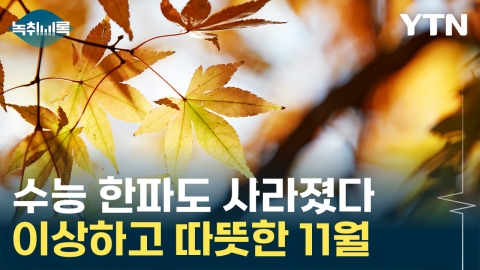 이 날씨가 11월 맞나?...패딩은 대체 언제입을 수 있을까 [Y녹취록]