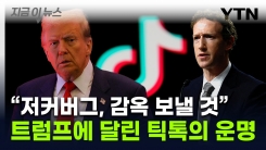 "페이스북은 국민의 적" 으름장 놓았던 트럼프...\'퇴출 위기\' 틱톡에 희망? [지금이뉴스]