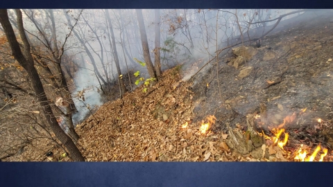 Wildfires in Namyangju's hills...Get out of here in an hour and 40 minutes.