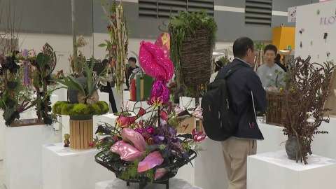 "Four seasons of flowers are all gathered."Yangjae Flower Festa Opens