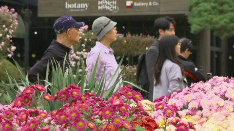 [Weather] The warmest mid-November...the current metropolitan rain