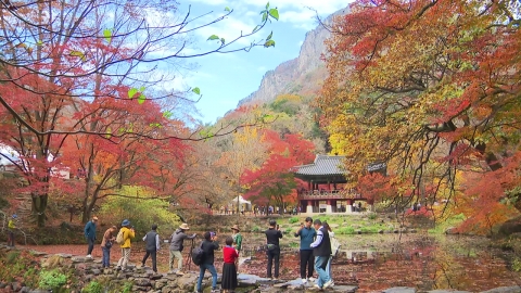 Five-colored autumn leaves are tempting... G-Star has a crowd of clouds.