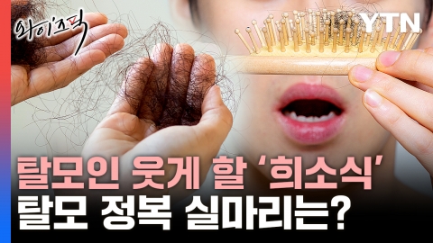 News to cheer for 10 million hair loss...What's the secret of "Hair loss composition"? (feat. Provico) [Wise Pick]