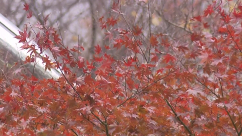 "Nulpip Weather" that goes back and forth...It's going to last all winter.