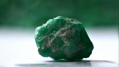 1.4 trillion won worth of 'Cursed Emerald' to his hometown of Brazil after 23 years?