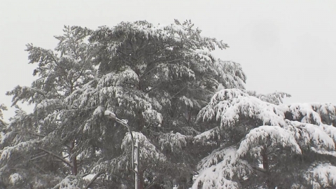 [Weather] "Emergency" for winter...Heavy rain with strong winds, cold weather, and heavy snow.