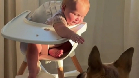 [Now shorts] A baby and a dog sharing snacks...a pure friendship