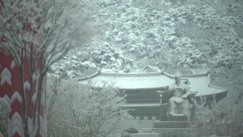 [Weather] Seoul's 'Snow Warning', snow everywhere on the way to work...Traffic Safety Attention