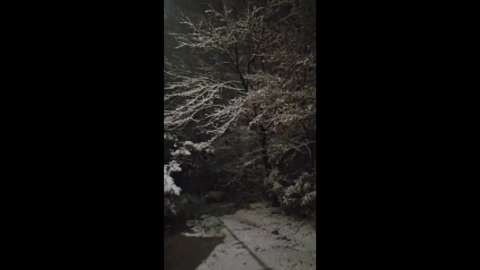 It's snowing in Paju, too.It's piled up in the greenhouse, too.