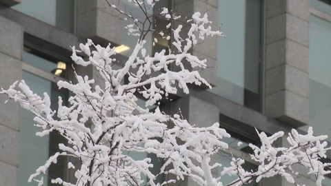 [Weather] Heavy snow in Seoul for the first time in 117 years...'Snow Special Report' in Seoul and other places