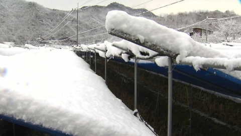 [News UP] 40cm on my way to work, big snow again...Will it stop in the afternoon?