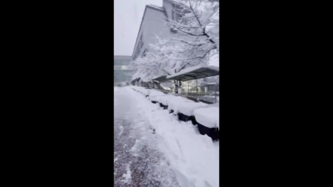 The roof in front of Yongin High School's cafeteria collapsed..."Emergency school closure order".