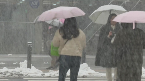 More than 40cm of heavy snow in the Seoul metropolitan area...Seoul's Snowfall Warning Rescission