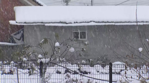 There's a lot of snow in the mountains in the eastern part of North Jeolla Province.All heavy snow specials are off.