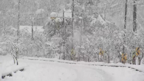 "It's broken, it's controlled."Hundreds of reports of heavy snow in Chungcheong alone