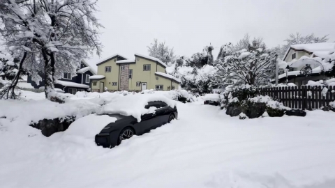 50cm of heavy snow in Yongin...I gave up going to work because of road paralysis.