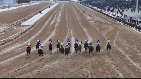 [현장영상+] '최고의 국내 말은?'...그랑프리 경주