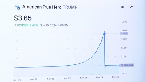 [단독] 트럼프발 코인 열풍?…시총 200조가 몇 분 만에 5억으로