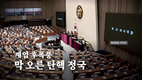 [Video] The President's 'Impeachment Prosecution' Report to the National Assembly plenary session...Woman, 'Anti-impeachment' party concedes