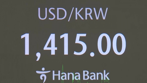 I put out the lights in a hurry, but...Exchange rate instability and foreigners' exodus 'continued'