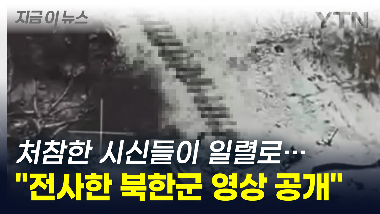 The bodies lying in a row..."Revealing dozens of North Korean soldiers killed in action" [This is news]