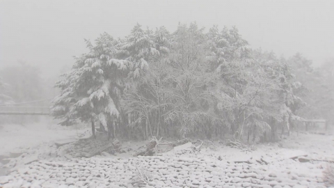 [Mr. Nil] Gangwon and Chungbuk snow warning...1 to 3cm of snow per hour until morning