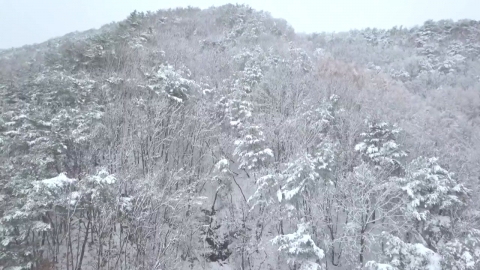 [Weather] Following the heavy snowfall in Gangwon and Chungbuk, the cold wave...After the afternoon snow, it\'s freezing cold.