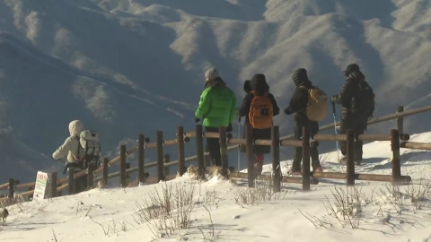 White eyes with mountains...a beautiful view of the snow of the Deogyusan Mountain.