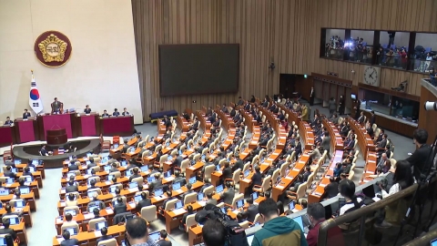 "The rebellion and the independent counsel for Mrs. Kim until the 24th" vs. "The government and the ruling party are paralyzed."