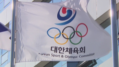 "Physical Education President." What is the president of the Korea Sports Council?Authorization ↑ · Attention map ↓