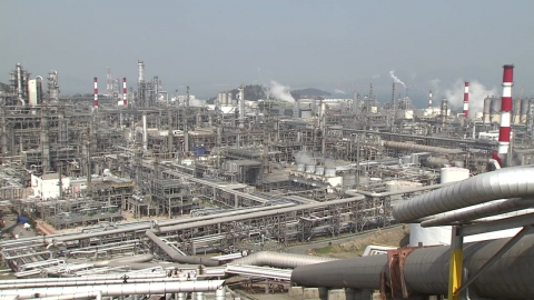 The petrochemical industry on the brink...Government to help reorganize business