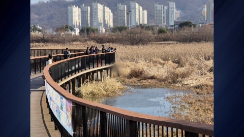 [Jeonbuk] "Trying to pick up a stick"...Rescue in 70s Fell Into Jeonju Reservoir