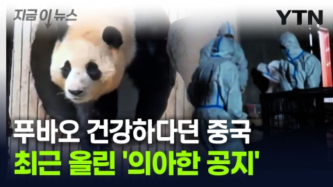 Chinese Panda Base Notice Says Fubao Fans "No way"...Suspicions raised locally [Now News]