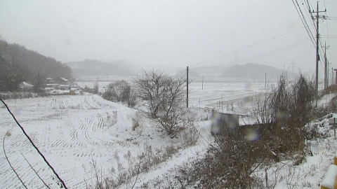 [Weather] The cold weather in the "Cold Wave Special Report" in the central part of the country...a heavy snowfall in the center of the west coast