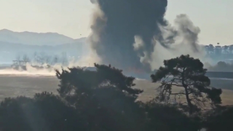 [속보] 전남 무안공항 여객기 사고…탑승객 177명 사망