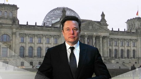 German backlash against Musk for 'supporting far-right party'... "trying to influence general election"