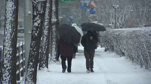 [Weather] Snowstorm watch in all parts of Seoul, up to 8cm...Midweek -11℃