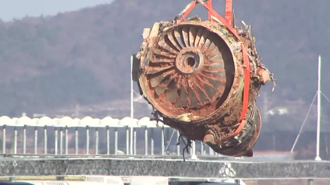 Ministry of Land, Infrastructure and Transport "Jeju Air Accident Checks Bird Collision..."Found Feathers in Engine"