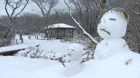 "Snow" in Jeollabuk-do, Chungcheong, and Jeju... "Up to 20cm more."