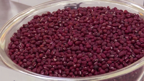 [Green] "Pick Meju with red beans"... Expansion of technology transfer for 'national patent'