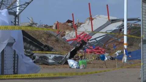 We're not doing enough bird-collision measures...concrete slams