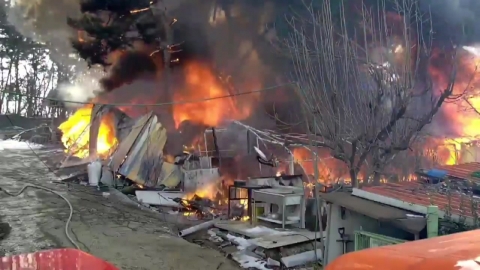 Iksan Poultry Farm Management Sadong Fire...four buildings