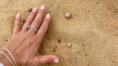 "Don't touch"...Unidentified Beads Flood Sydney Beach