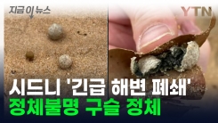 정체불명 구슬 또 생겼다? 시드니 해변 \'긴급 폐쇄\' [지금이뉴스]